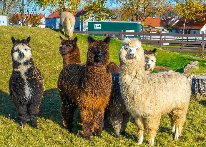 Wellings Romantik Zur Linde