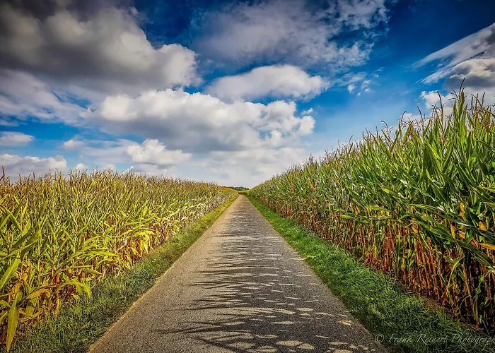 Wellings Romantik Zur Linde Hotel 4*